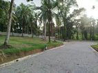 හෝමාගම රෝහල පාරෙන් බිම් කොටස් විකිණීමට ..