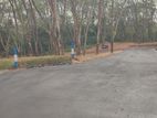 හෝමාගම තලගල ඉඩම