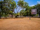 හෝමාගම ටවුන් එකට සමීපව අගනා බිම් කොටස් කිහිපයක් විකිණීමට