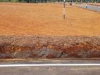 හෝමාගම වටිනා ඉඩම්