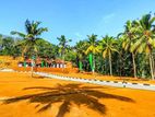 Horana - 10 Perch Land Plots