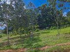 Horana : 10.8P Highly Residential Land for sale in Waulagala