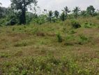 Horana 110P Land for Sale Suitable Agriculture ,residence