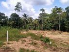 Horana : 247 perches commercial Land for Sale