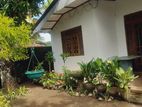 Horana : 2BR (11.5P) House for sale in Polgasowita