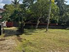 HORANA : 41 PERCHES RESIDENTIAL LAND FOR SALE