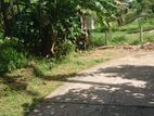 Horana : 41P Highly Residential Land For Sale in Thalagala