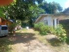 Horana 42pec Land with House For sale