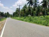 Horana 8 Acres Land for Sale