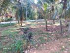 Horana Ampitigala 25 Perches for Sale