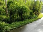 Horana Ampitigala Land for Sale