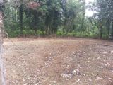 Horana Ballapitiya - 18 Perch Block of Land for Sale