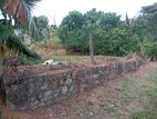 Horana Gonapola Land 10 P only 3 million