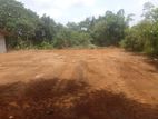 Horana Kadanhena Land for Sale (SSPL-19)