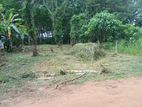 Horana Land For Sale
