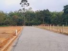 Horana Land For sale