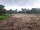 Horana Land For sale