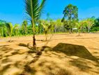 Horana - land for sale