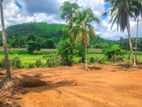 Horana Land for Sale