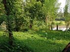 Horana Land for Sale