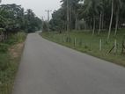 Horana Land for sale