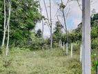 Horana - Land for Sale in Wawulugala