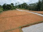 Horana Land for Sale Near the Town