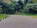 Horana -Last Lot Available