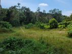Horana Millaniya Galpatha 3 Acres Land For Sale