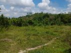 Horana Millaniya Galpatha 3 Acres Land For sale