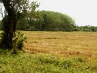 Horana Yala Godella Land for Sale