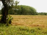 Horana Yala Godella Land for Sale