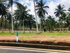 හොරන බිම්කොටස්