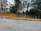 හොරන කළුතර බස් පාරට ලඟින් හොඳම තැනක්