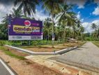 හොරන තල්ගහවිල බස් පාරට මුහුනලා අගනා බිම්කොටස් කිහිපයක්