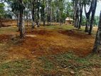 හොරණ නගරය ආසන්නයේන් වටිනා ඉඩම්