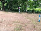 හොරණ නගරයේ Town එක පෙනෙන දුරින් මීටර් 100 යි