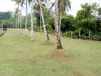 හොරණ නගරයෙන් වෙල් යායකට මායිමේ වටිනා ඉඩමක්