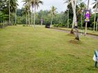 හොරණ නගරයෙන් වටිනා ඉඩමක්