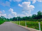 හොරණ නගරයට නුදුරින් අගනා ඉඩමක්