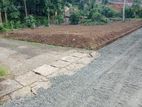 හොරණ, පොකුණු විට