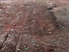 හොරණ, පොකුණු විට Land for Sale