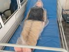 HOSPITAL BED ONE FUNCTION HEAD ADJESTABLE WITH MATTRESS