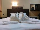 HOTEL WITH BRAND NEW HOUSE FOR SALE NEGOMBO CHI2557