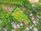 House and Cultivated Land for Sale in Ambalangoda