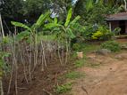 House with Land for Sale Vavuniya