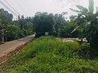 House with Land for Sale in Pilimathalawa