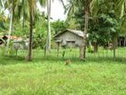Land with House for Sale in Kilinochchi