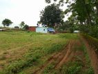 Land for Sale in Thetkilupaikulam, Vavuniya