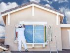 Painting Services ( All Island )